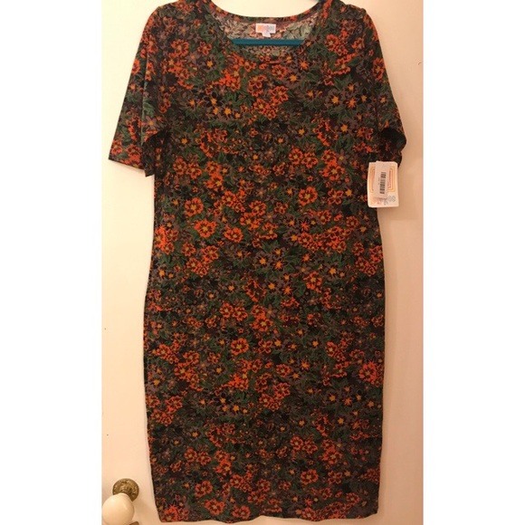 LuLaRoe Dresses & Skirts - LuLaRoe Julia knit dress with floral print